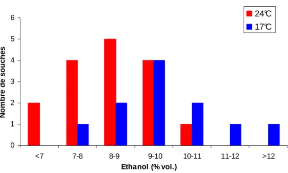 Figure  18.  Distribution  des  souches  de  T.  delbrueckii  en  classe  selon  leur  production  d’éthanol à 17°C (n=11) et à 24°C (n=16) sur milieu synthétique à 240 g/L de sucres