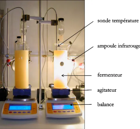 Figure  8 :  Installation  permettant  le  suivi  automatisé  de  la  fermentation  alcoolique  (fermenteur 1,2L)