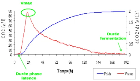 Figure 9 : Paramètres cinétiques obtenus par l’installation permettant le suivi automatisé des  fermentations : Vitesse (g CO 2 /L/h) et CO 2  dégagé (g/L) en fonction du temps (h)