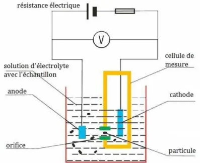 Figure 11 : Schéma de la cellule de mesure du Coulter Counter Z2. 