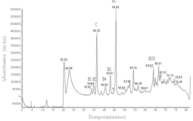 Figure  27 :  Chromatogramme  établi  par  CLHP extractions liquide/liquide de pépins