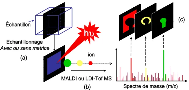 Figure  40 : Schéma  de  principe  d’une  expérience  d’imagerie  par  spectrométrie  de  masse  (IMS)