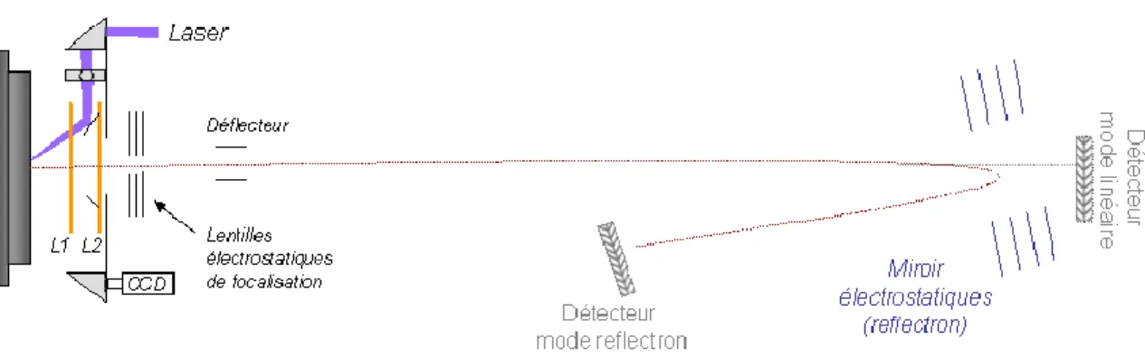 Figure 41 : Schéma de principe d’un spectromètre de masse à temps de vol.