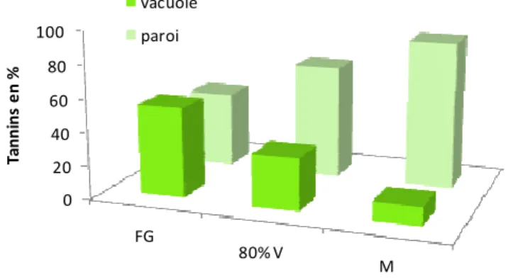 Figure 45 : Répartition de l’autofluorescence (en %) des tannins pelliculaires dans les vacuoles et dans les parois cellulaires, à différents stades de développement de la baie de raisin : FG, fermeture de grappe (2008) : FG, fermeture de grappe ; 80% V, 8
