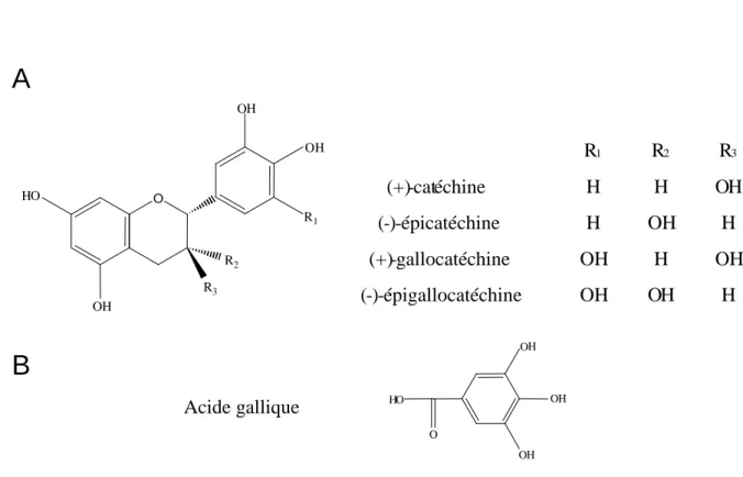 Figure 10 : Structure chimique des flavan-3-ols (A) et de l’acide gallique (B). 