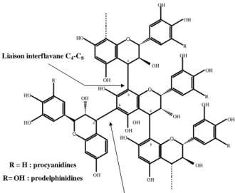 Figure 11 : Structure chimique des tannins condensés. 