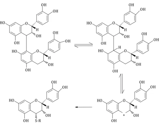 Figure 5. Addition d’un thiol sur un carbocation (de Freitas, 1995)  OH OH OH OHOOHHOHOHOOHHOHOHHOHOHOHOHOHOHS-ROHOHOHOHOOHHOOHHOHOHOHOHOHOHOHOHOHOH+