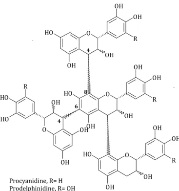Figure 14. Structure générale des proanthocyanidines du raisin OOHOHOH OHROOHOHOHOHOHROHOOHOHOHOHROHOOHOHOHOHROH4864Procyanidine, R= HProdelphinidine, R= OH