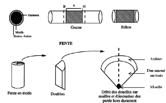 Figure 3 : Travail de sciage et de fendage de la grume (x = longueur de la future douelle après  écourtage) (Vivas, N., 2002) 