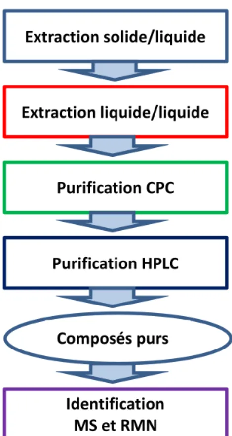 Figure 13 .  Schéma général du protocole de purification des précurseurs d’arômes glycosylés dans le bois de  chêne utilisé dans ce travail