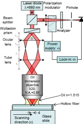 Fig. 1. Polarization-modulated differential scanning interferometer. The light of the laser diode is separated into two beams carrying orthogonal polarizations by a Wollaston prism.