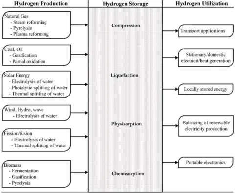 Figure I.7. The hydrogen vector: sources, generation options, storage options and end- end-uses