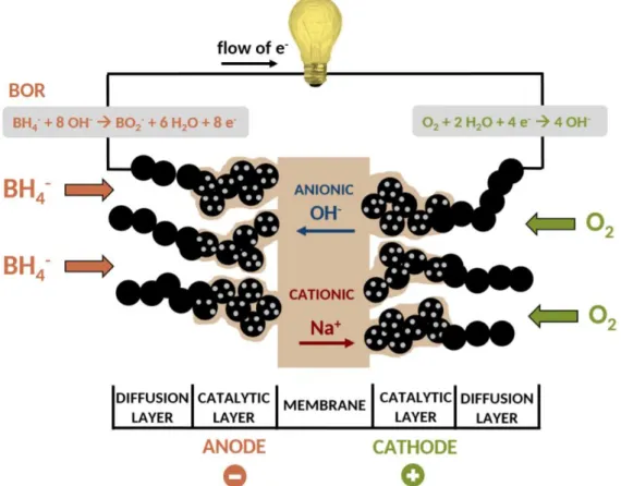 Figure I.12. Structural composition of a BH 4 - /O 2  DBFC unit cell. Reprinted from Ref  [119]