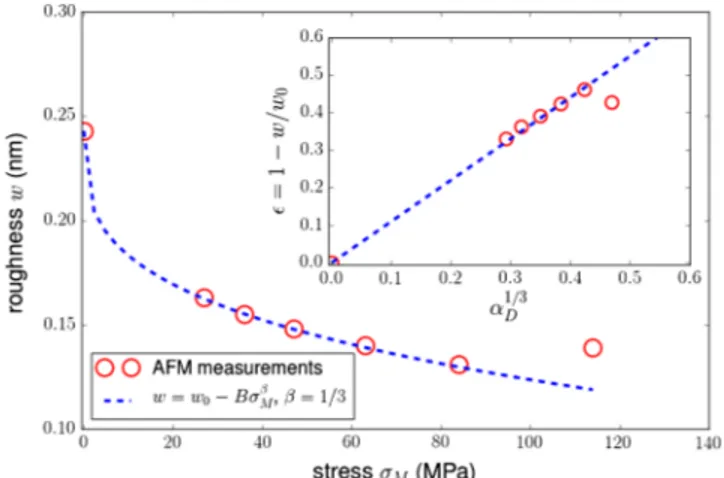FIG. 3. rms roughness w of inner fiber surfaces obtained at increasing drawing stress σ M measured on 10 × 10 μ m 2 AFM images