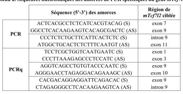 Tableau 2. Séquences nucléotidiques des amorces de PCR spécifiques du gène mTcf7l2. 