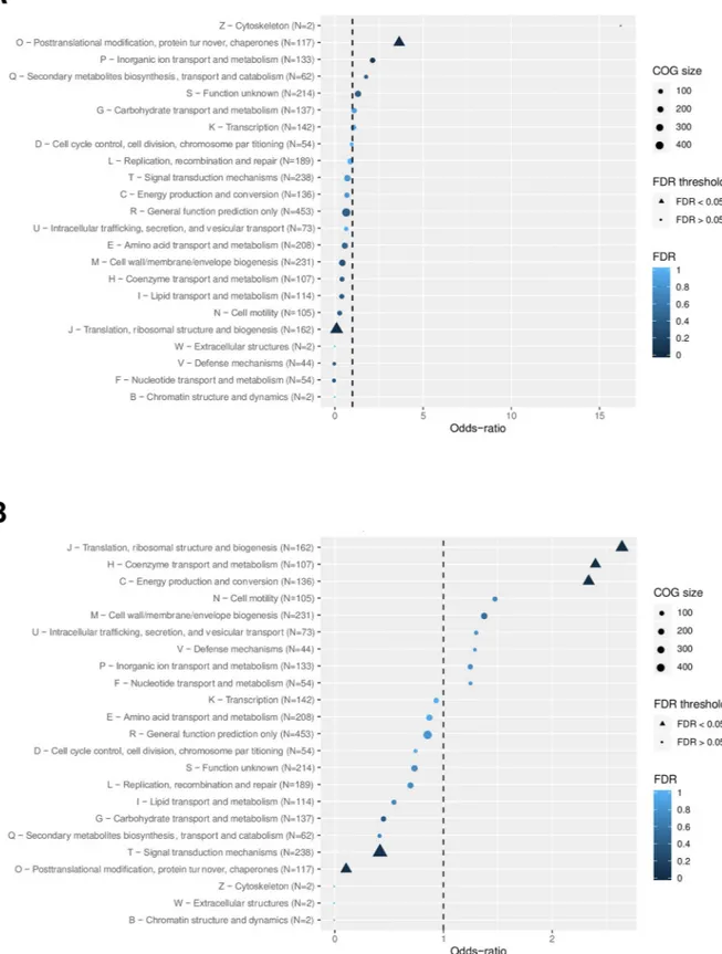 Fig 2. Classification of differentially-expressed genes upon exposure to lethal dose of hydrogen peroxide