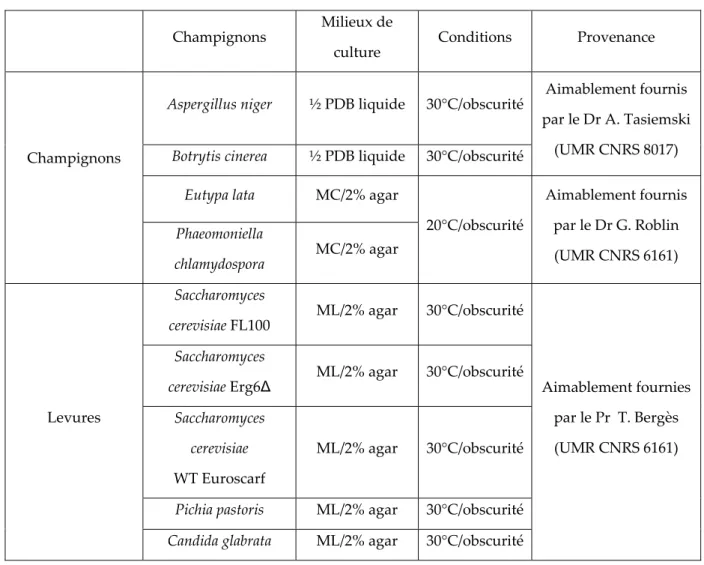 Tableau  3   :    Souches  de  champignons  utilisées  et  milieux  de  culture  correspondants.  ½  PDB  (12  g/l  Potato  Dextrose  Broth,  Sigma),  MC :  milieu  champignons [YNB (DIFCO), glucose 20 g/l, proline 40 mM, HEPES 10 mM ; pH 4,2],  ML : milie