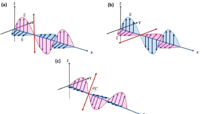 Figure 1.17: Linear vertical (a), horizontal (b) and diagonal (c) polarization. The red arrow illustrates  the direction of polarization and the x-axis the direction of propagation