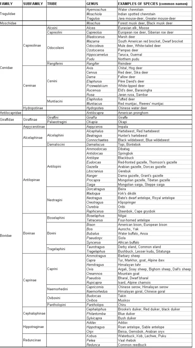 Table 1.  Taxonomic organization of the world’s ruminants (from Grubb 2005).