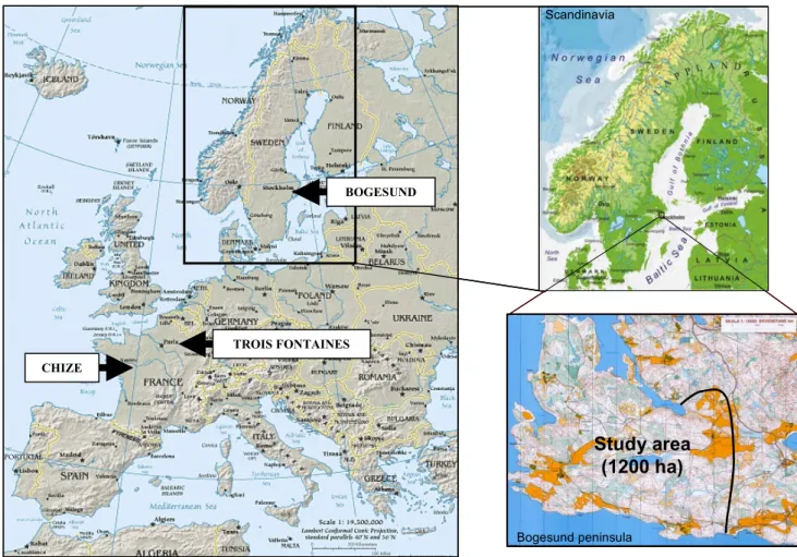 Figure 9. Situation of the 3 study sites: Bogesund, Chizé and Trois Fontaines and map of the Bogesund peninsula indicating the situation of the study area.