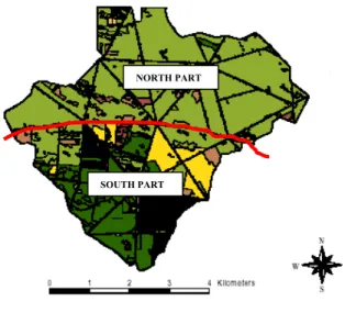 Figure 10. Map of the dominant trees in the Chizé reserve. In dark gren: beech, in light green: oak, in yellow: