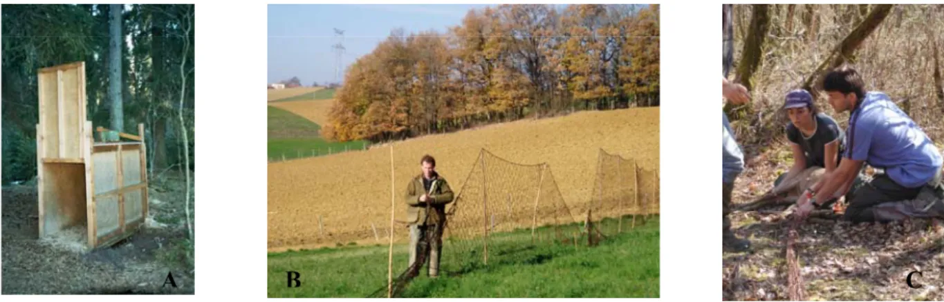 Figure 13. Variation of roe deer density in the three studied populations since the beginning of the long-term study.