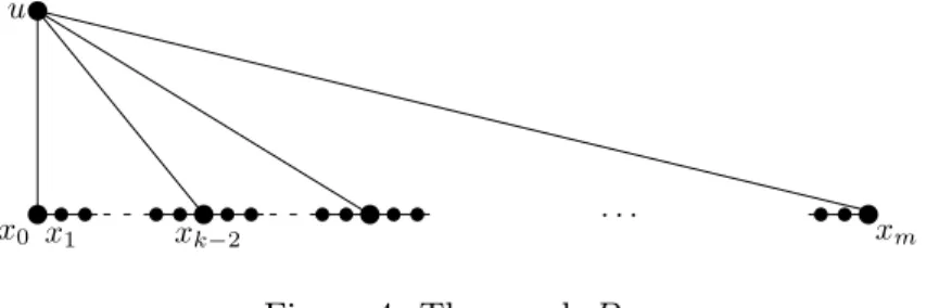 Figure 4: The graph P m .