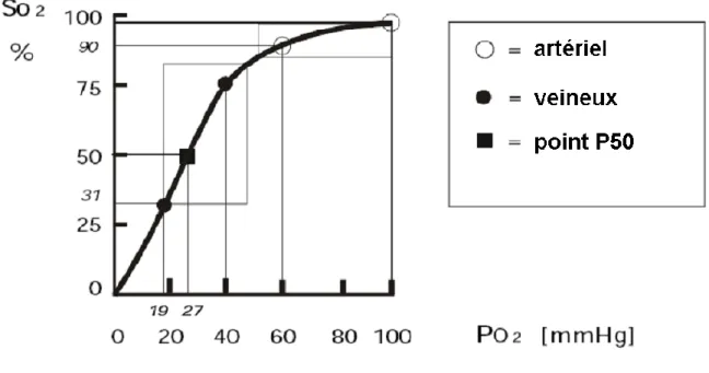 Figure 3 : Courbe de dissociation de l’hémoglobine. D’après www.md.ucl.ac.be/virtanes/oxy.PDF 