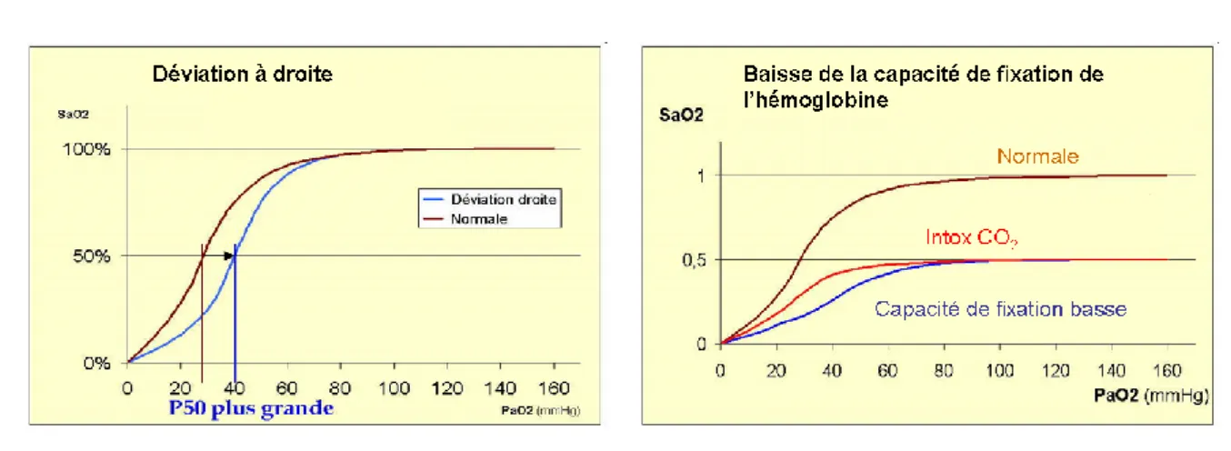 Figure 4 : Modifications de la courbe de dissociation de l’ hémoglobine. D’après http://www.ednes.com
