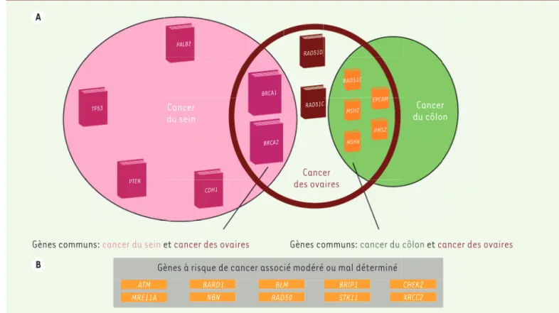 Figure 1. Analyse constitutionnelle en panel multigènes pour les cancers du sein et de l’ovaire