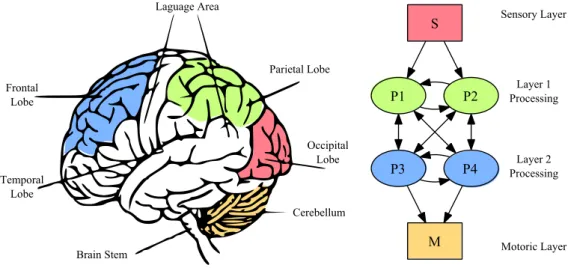 Figure 4.1: A sample brain map with hierarchical neural system graph projected on it. Virtual and real neural sub-systems with similar functions are shown in the same color