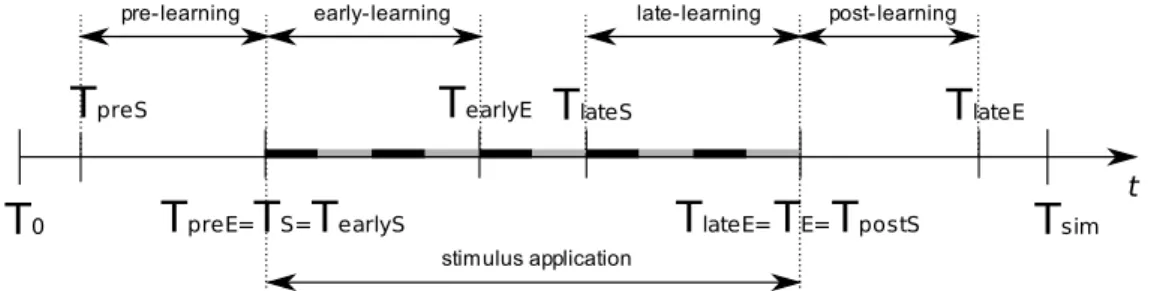 Figure 4.10: Neural system development stages. Stimulation periods are schemat- schemat-ically represented with black (BS repetitions) and grey (ISI periods) line segments.