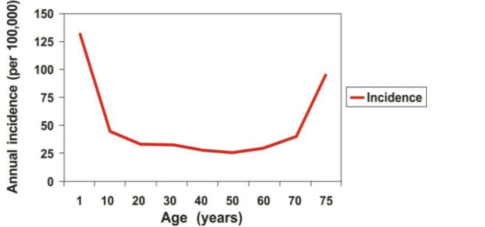 Figure 2: The annual incidence of epilepsy and age related variation. (Hauser et al 1991) 
