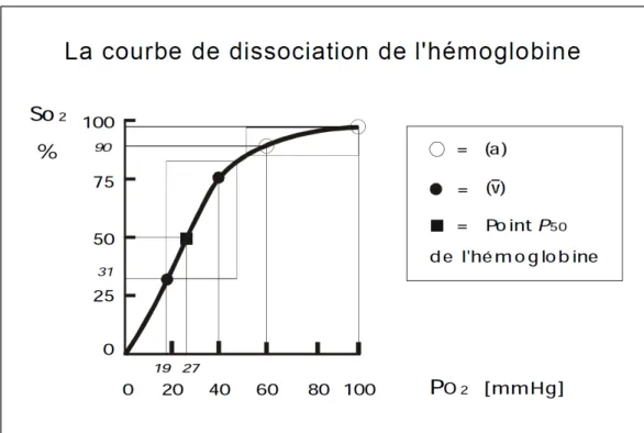 Figure 13 : Courbe de dissociation de l’hémoglobine d’après  www.md.ucl.ac.be/virtanes/oxy.PDF 