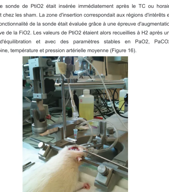 Figure  16: Mesure de la PtiO2 sur un rat en laboratoire 