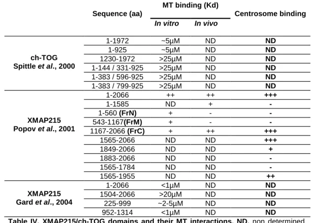 Table  IV.  XMAP215/ch-TOG  domains  and  their  MT  interactions.  ND,  non  determined