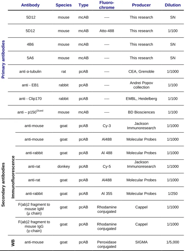 Table  VII.  Primary  and  secondary  antibodies  used  in  IFs.  mcAB,  monoclonal  antibody; 