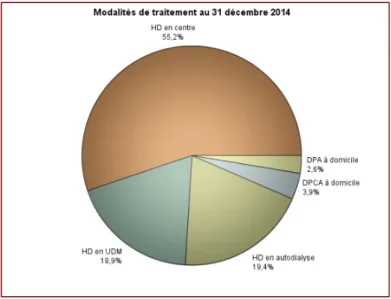 Graphique n° 2 : Répartition des modalités de traitement en France au 31/12/2014 52 .                                                           