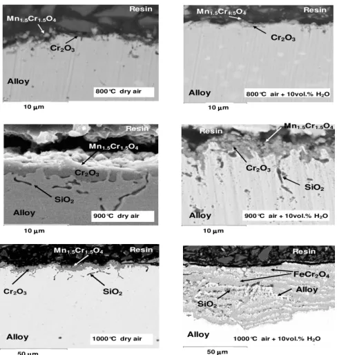 Figure 2. SEM cross-section on the AISI 316L SS oxidized at 800, 900, 1000°C in dry air or wet  air (10 vol.% H 2 O) for 96 h