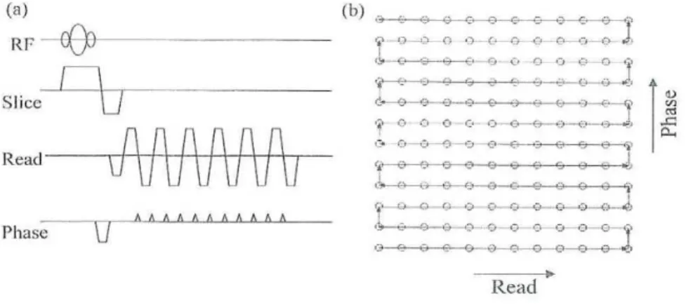 Fig. 2.2  Chronogramme d'une séquene EPI, single shot (a), et balayage dans l'espae