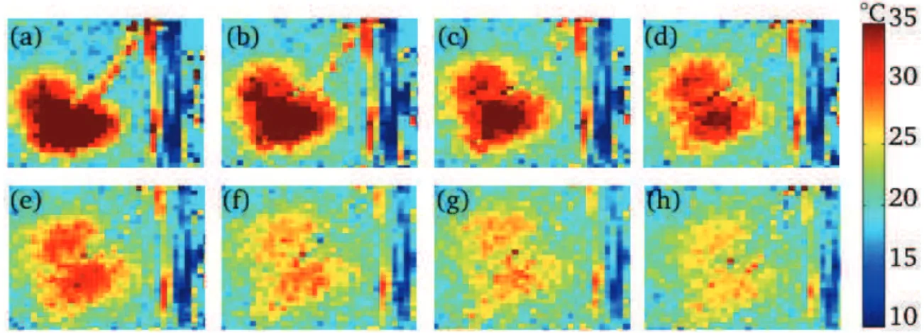 Figure 9.1.5 – Cartes de variation de température lors de l’injection d’un gel chaud : chaque image (a)...(h) correspond à un pas temporel d’une minute.