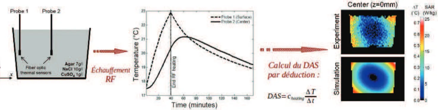 Figure 6.4.1 – Échauﬀement RF d’un gel d’agarose, et comparaison du DAS simulé et expérimental (extrait de [Oh et al., 2010]).