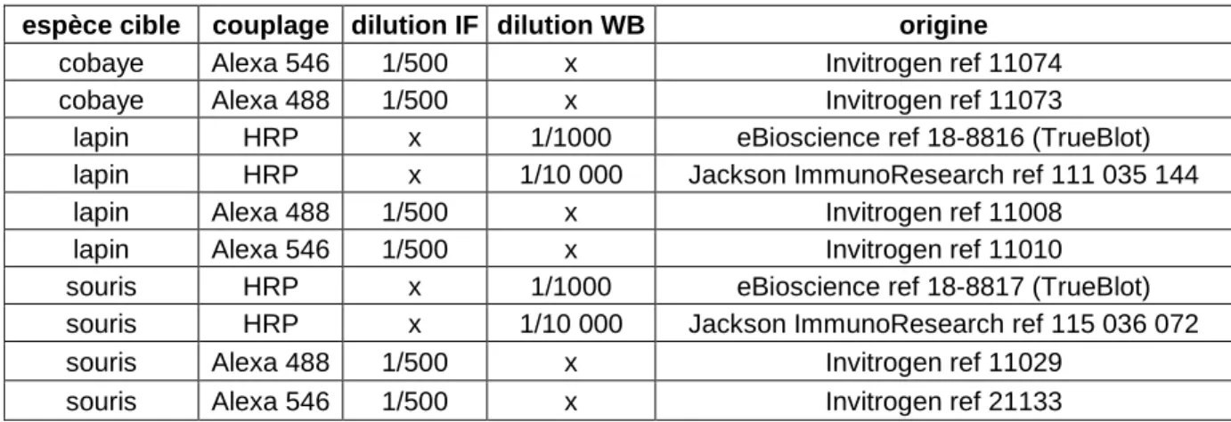 Tableau 4: Anticorps secondaire couplés à un fluorochrome ou à la péroxydase  espèce cible  couplage  dilution IF  dilution WB  origine 