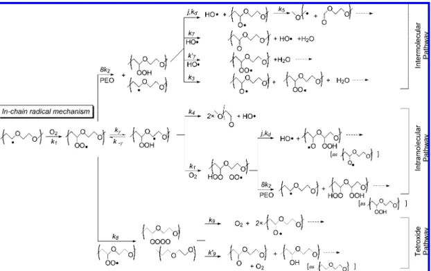 Figure 8 . Oxidative degradation mechanism of PEO: in-chain radical reactions.