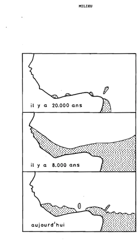FIGURE I.2. Distribution de la forêt en Afrique depuis 20000 ans d'après HAMILTON (1976) modifié.