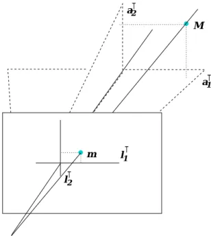 Figure 2.14: The dual of an image point, written to calculate a Euclidean reprojection-error in the pixel-plane.