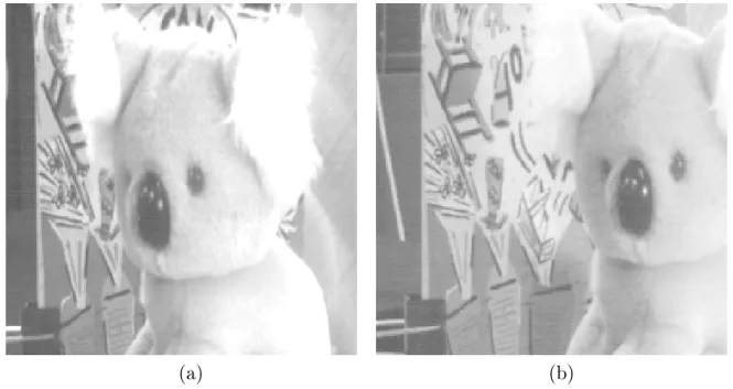 Fig. 3.7 { Fond benetton. Points choisis (noirs) dans la Figure 3.5 (a) pour test 1 et 2