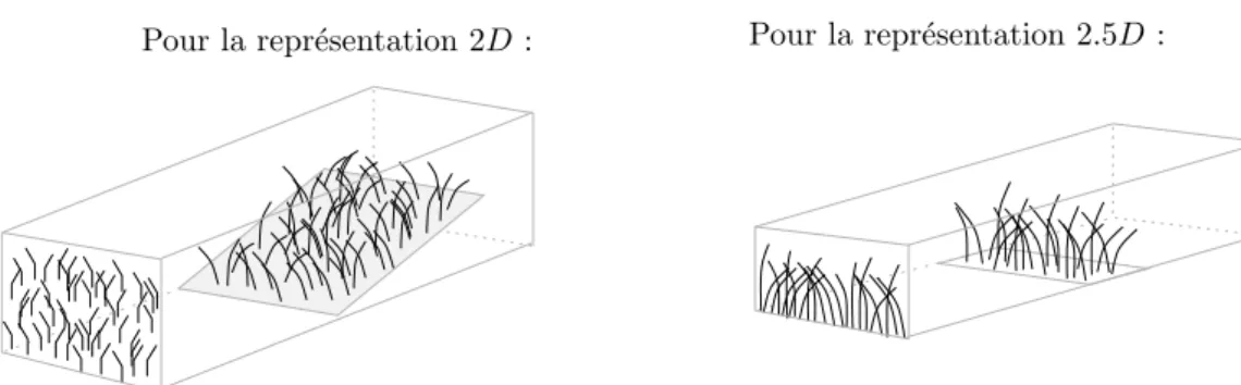 Fig. 4.6 – Les textures des niveaux 2.5D (resp. 2D) sont g´en´er´ees `a partir d’une tranche d’un carr´e d’herbe (resp