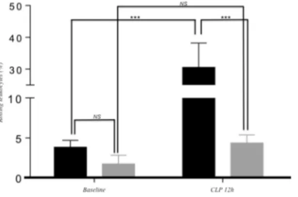 Figure 1.  Microcirculatory measurements in the dorsal skinfold chamber in post-capilary venules at baseline  and 12 h after sepsis induction in mice were treated with flavanol-free or flavanol rich diet (0.06%g/kg of diet)  over a period of 7 days
