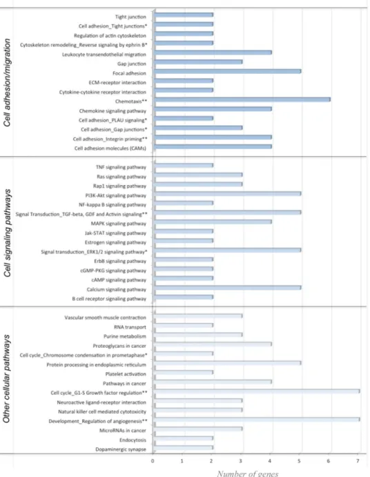 Figure 2.  Pathways and networks enriched with differentially expressed genes in response to flavanol  metabolites in HUVEC